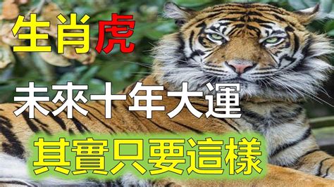 2023屬虎運勢1974|1974年属虎人2023年全年运势及运程 74年49岁生肖虎2023年每月。